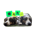 Luke's sticker（個別スタンプ：17）