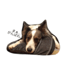 Luke's sticker（個別スタンプ：18）