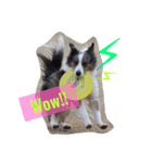 Luke's sticker（個別スタンプ：19）