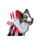 Luke's sticker（個別スタンプ：20）
