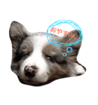 Luke's sticker（個別スタンプ：22）
