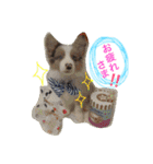 Luke's sticker（個別スタンプ：24）