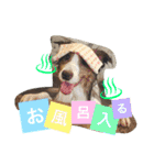 Luke's sticker（個別スタンプ：25）