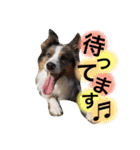 Luke's sticker（個別スタンプ：27）
