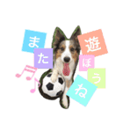Luke's sticker（個別スタンプ：28）
