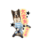 Luke's sticker（個別スタンプ：29）