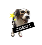 Luke's sticker（個別スタンプ：30）