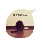ごましおちっち（個別スタンプ：9）
