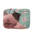 ごましおちっち（個別スタンプ：10）