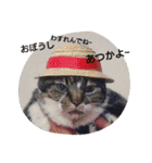 ごましおちっち（個別スタンプ：12）