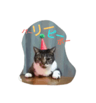 ごましおちっち（個別スタンプ：15）