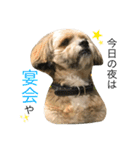 なかむらさんちのそらくん。（個別スタンプ：9）