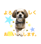 なかむらさんちのそらくん。（個別スタンプ：17）