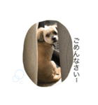 なかむらさんちのそらくん。（個別スタンプ：25）