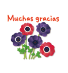ありがとう花が咲くよ スペイン語版（個別スタンプ：5）