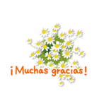 ありがとう花が咲くよ スペイン語版（個別スタンプ：6）