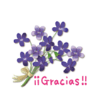 ありがとう花が咲くよ スペイン語版（個別スタンプ：7）