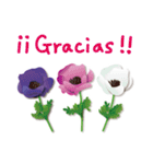 ありがとう花が咲くよ スペイン語版（個別スタンプ：11）