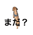 なめ   くろ（個別スタンプ：7）