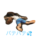 なめ   くろ（個別スタンプ：8）