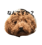 なめ   くろ（個別スタンプ：13）