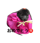 なめ   くろ（個別スタンプ：14）