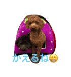 なめ   くろ（個別スタンプ：15）