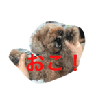 レオ(1)（個別スタンプ：1）