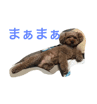 レオ(1)（個別スタンプ：2）
