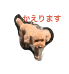 レオ(1)（個別スタンプ：3）