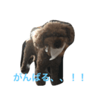 レオ(1)（個別スタンプ：4）