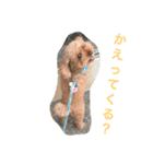 レオ(1)（個別スタンプ：5）