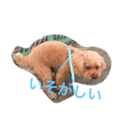 レオ(1)（個別スタンプ：7）