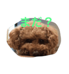 レオ(1)（個別スタンプ：8）