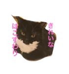 うちのにゃんこども（個別スタンプ：3）