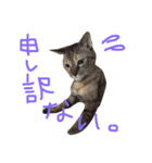 まがり①（個別スタンプ：5）