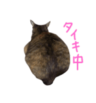 まがり①（個別スタンプ：12）