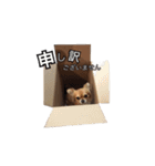 橋本家の愛犬ごま★（個別スタンプ：20）
