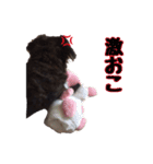 愛犬ダックスのヒメ様（個別スタンプ：6）