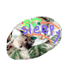 tropical country（個別スタンプ：31）