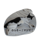 ふくちゃん＆くまのスタンプ（個別スタンプ：7）