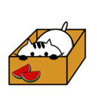 raichi（個別スタンプ：4）