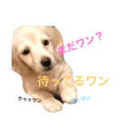 クゥルゥ1（個別スタンプ：8）
