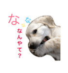 クゥルゥ1（個別スタンプ：9）