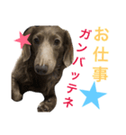 クゥルゥ1（個別スタンプ：12）
