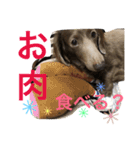 クゥルゥ1（個別スタンプ：21）