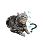 the dog and cat（個別スタンプ：7）