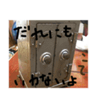 こてこ専用名前スタンプ 2（個別スタンプ：1）