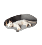 小夏の日常（個別スタンプ：8）