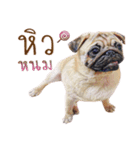 What The PUGs 2（個別スタンプ：15）